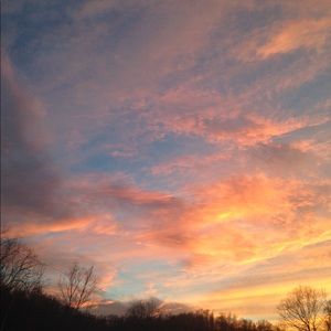 Meet your Posher, Sherri